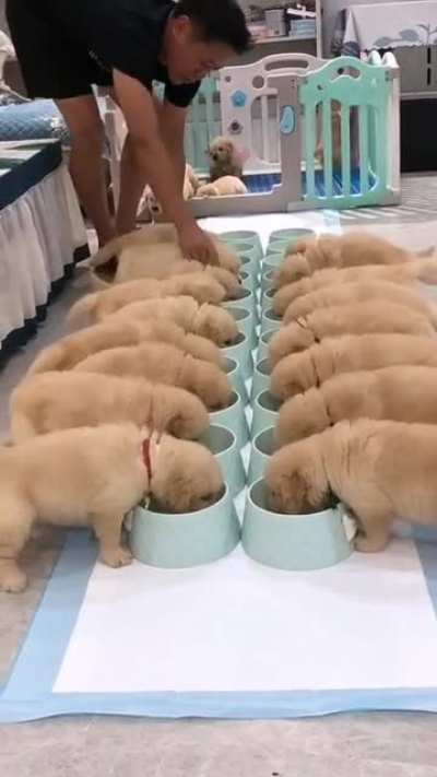 Dinner time !!!!!!