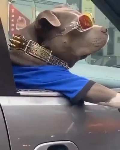 😎
