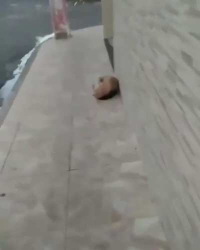 kkkk pedra