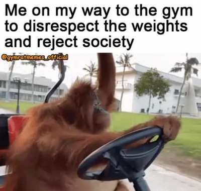 back to monke