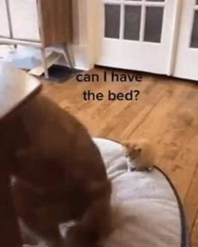 a comfortable spot