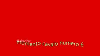 CAVALO