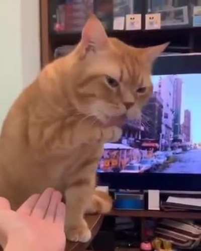 What an asshole