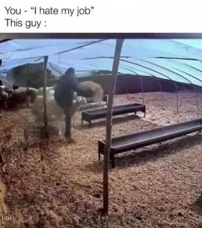He is really going after his life