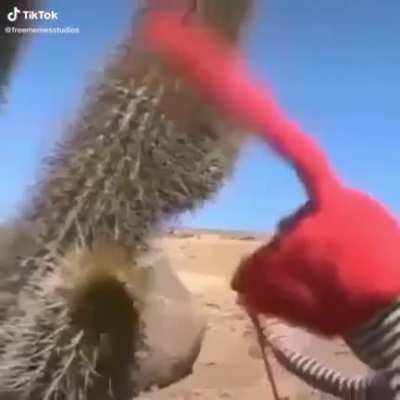Yes I know it&rsquo;s from TikTok
