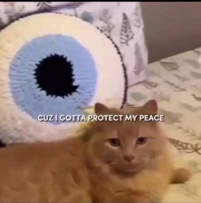 OG River cat video