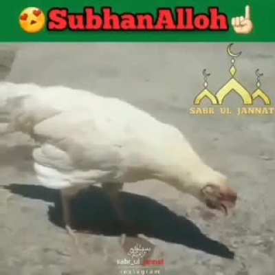 inshallah