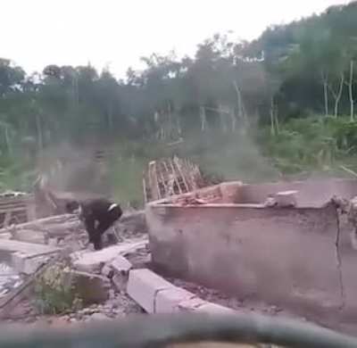 He fought the wall and the wall won