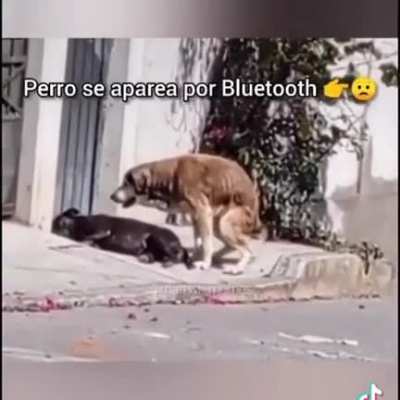 Sexo Bluetooth 😳