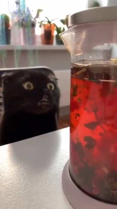 Shock and Aww