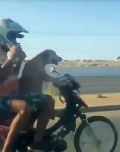 Out for a ride.