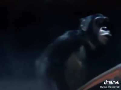 We love monke