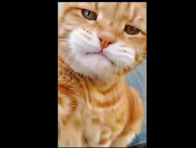John Whisker