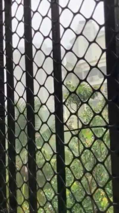 Monsoon just hit Mumbai, India. Amazing weather with a cool temperature. Today&rsquo;s a good day :))
