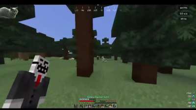 skeleton horse