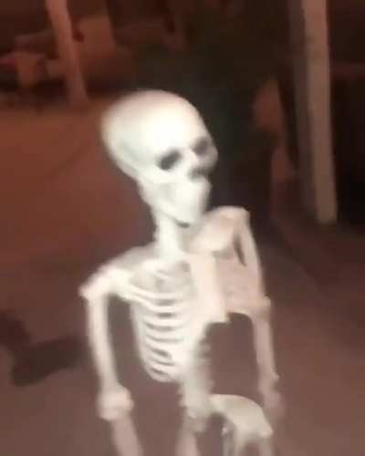 Todo el putisimo fag chat esperando a que timi vuelva