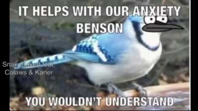 Mordecai and Rigby smoke Weed