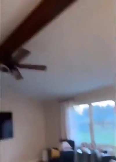 Cats are so dramatic