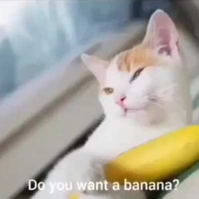 Do you want a banana?