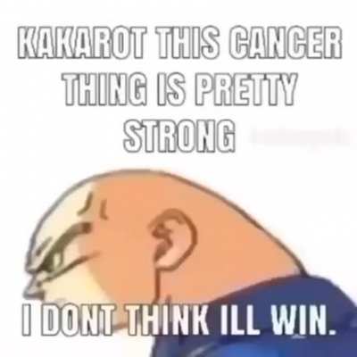 new dbz season 😳