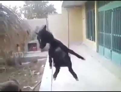 10500