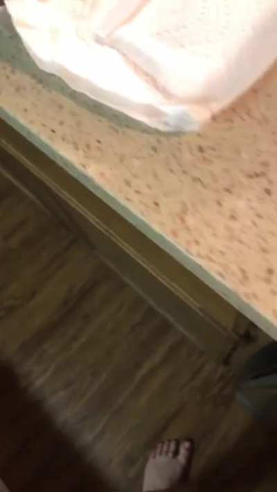 A video of my sweet girl Tala I found today. We lost her last October when a loose dog got into our house and attacked her. She was the mouthiest cat and I miss our conversations terribly. I hope she makes you smile.