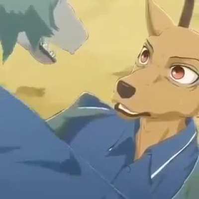Furry vuela