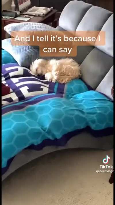 Ad