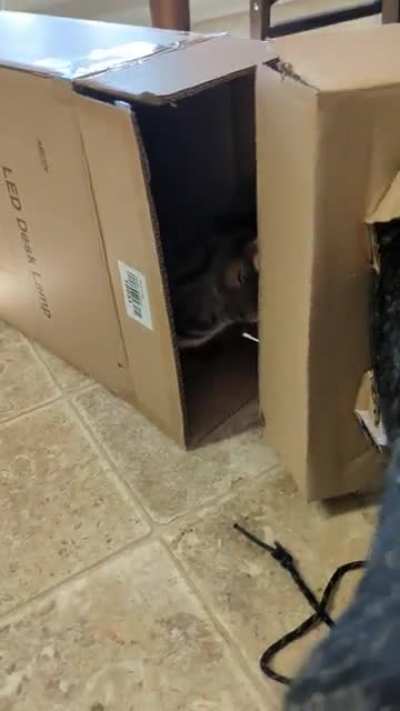 There was an attempt at unboxing