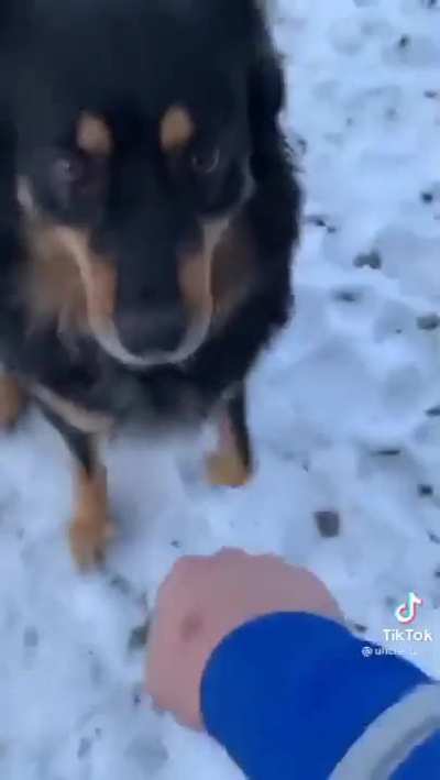 Ooooh