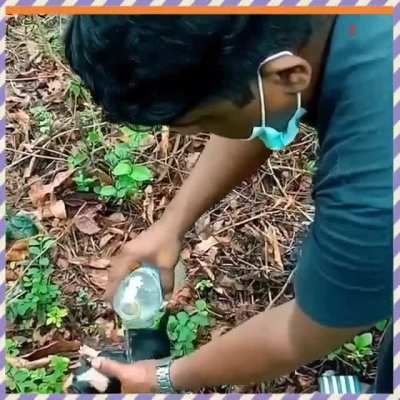 Following heavy rains at Kanjirathani, Kerala, a dog and two pups survived a minor landslide and were rescued by locals after lying covered in the mud behind a shop for three days.