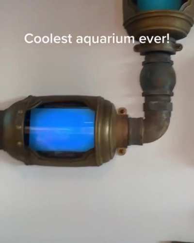 This aquarium allows kids to see the fish they drew inside it.
