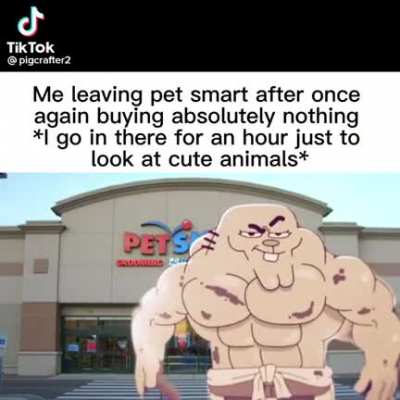 lol