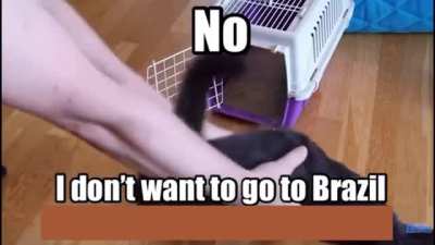 He doesn&rsquo;t want to go to Brazil