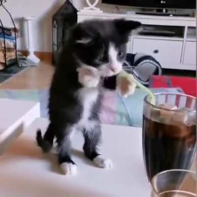 To drink soda water