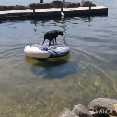 Maybe maybe maybe