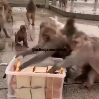 I am taking 6 charles