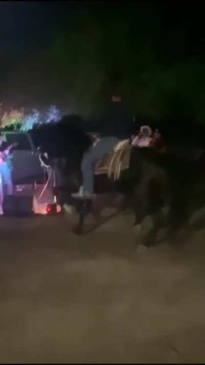 When the horse feels like heavy metal!