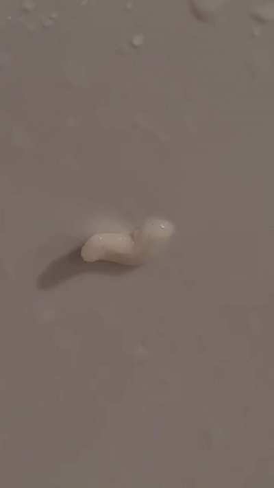 Most upsetting id request I've ever seen, no baths ever again thanks.