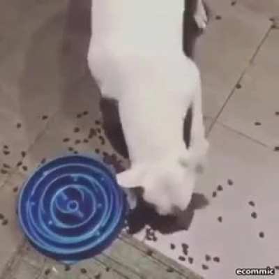 &Ccedil;ok g&uuml;zel lna