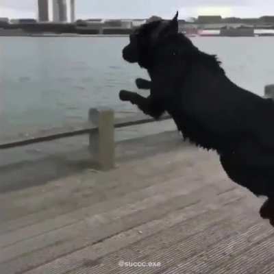Perfectly cut in slow motion