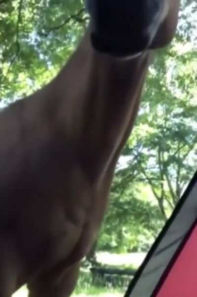 Somebody&rsquo;s Watching Me
