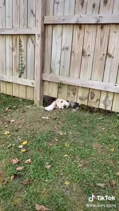 The boy next door