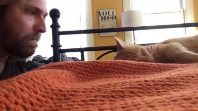 Emulating the cat