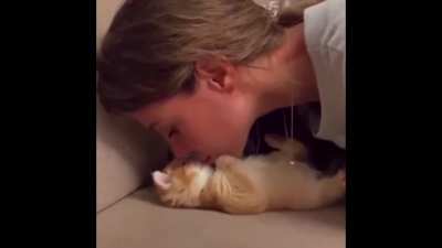 Kedi &ccedil;ok tatlı lan UwU