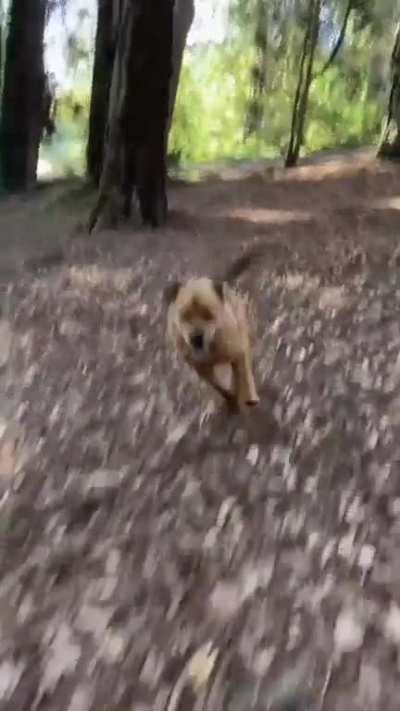 It&rsquo;s finally Friday