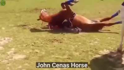 И его зовут Джон Сееееенааааа!!!!