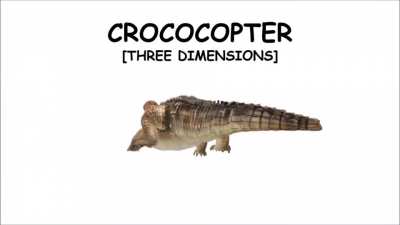 SIDETRACKED CROCODILE