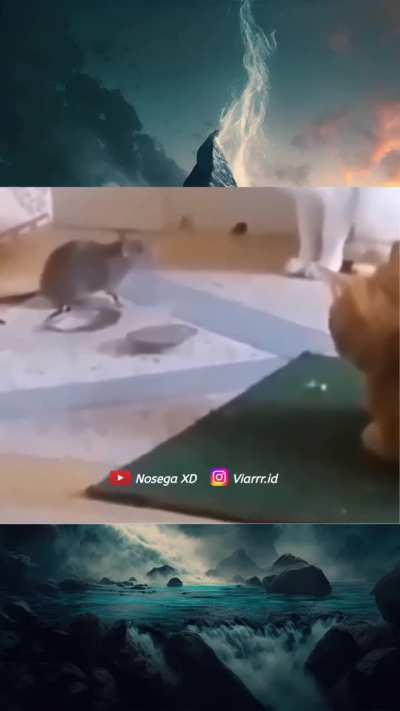 Um momento amigo 