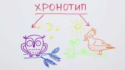 Вы когда-нибудь задумывались: одинаково ли мы видим цвет? &mdash; Научпок